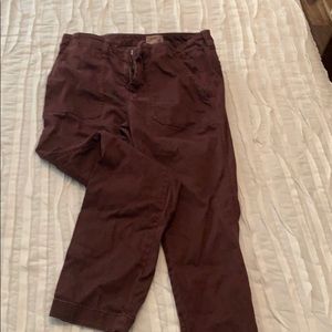 J Crew maroon pants